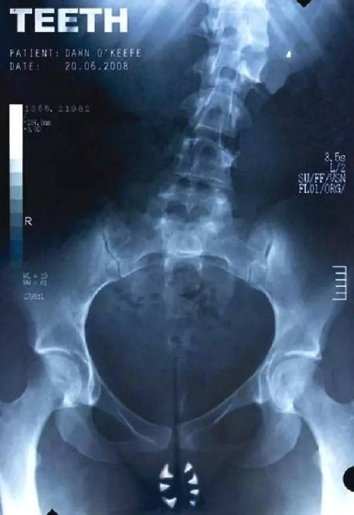 雅思成绩单编号查真伪